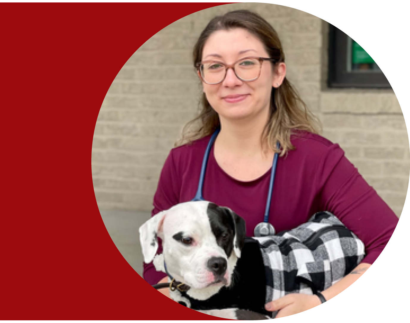 Animal Doctor in Nashville TN - Eva Evans DVM