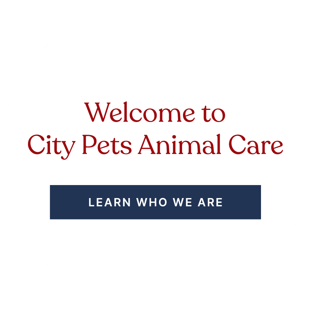 Welcome to city pets animal care graphic