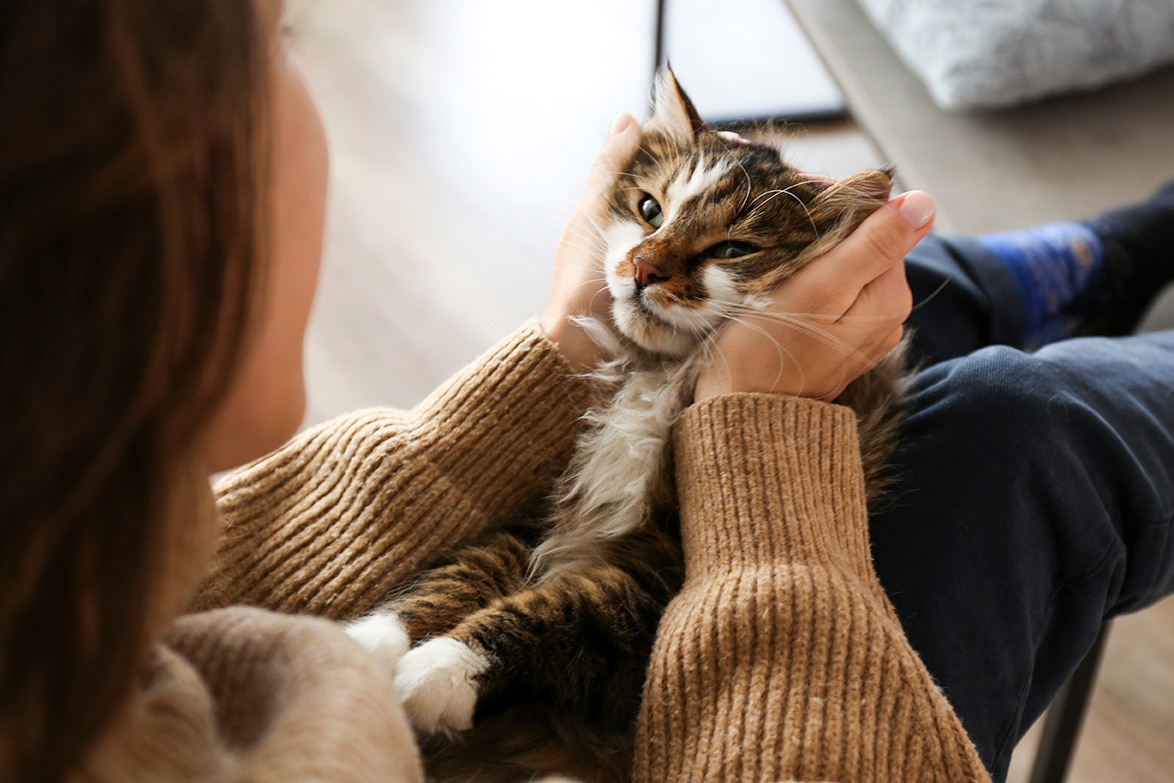 woman comforting her cat before euthanasia vet appointment at city pets animal care